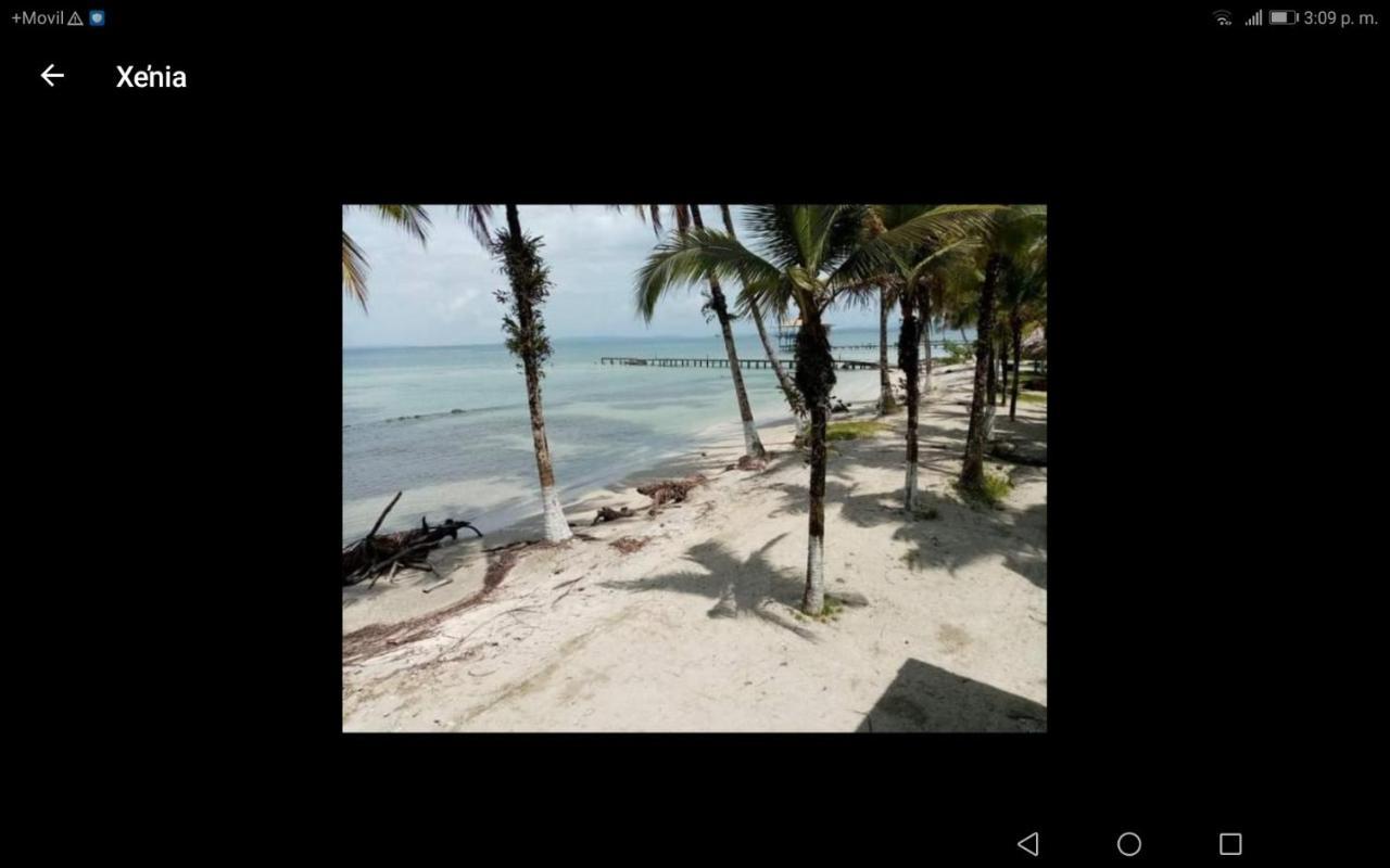 Buccaneer Resort Carenero Экстерьер фото